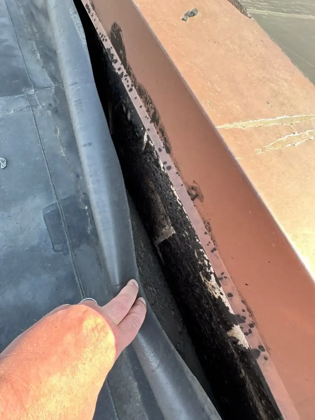 Membrane repair completed in Munster